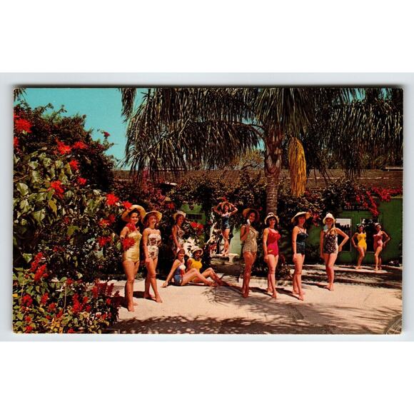 Weeki Wachee Mermaids Florida Postcard Ladies In Swim Suits Gift Shop Curt Teich - Picture 1 of 2